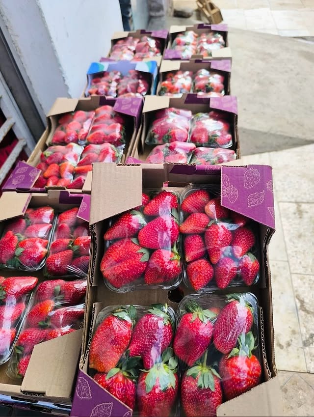 Produto 5
