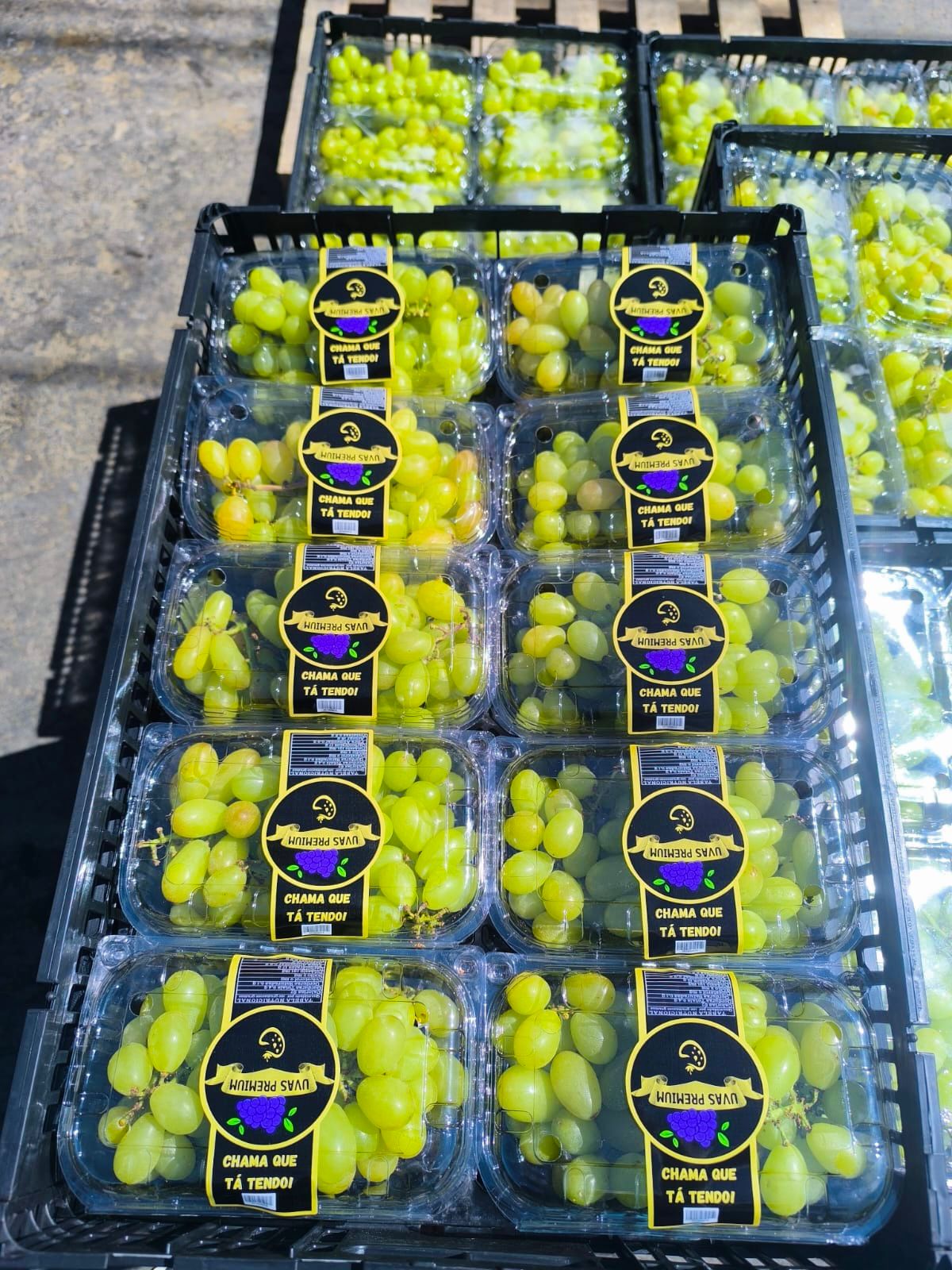 Uvas Verde - Sem Sementes