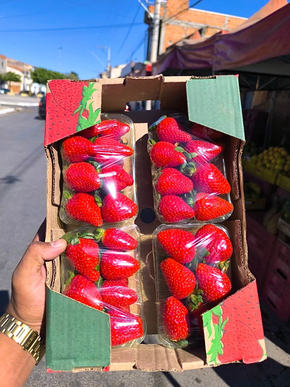 Caixa Morango c/ 4 Bandeijas Premium